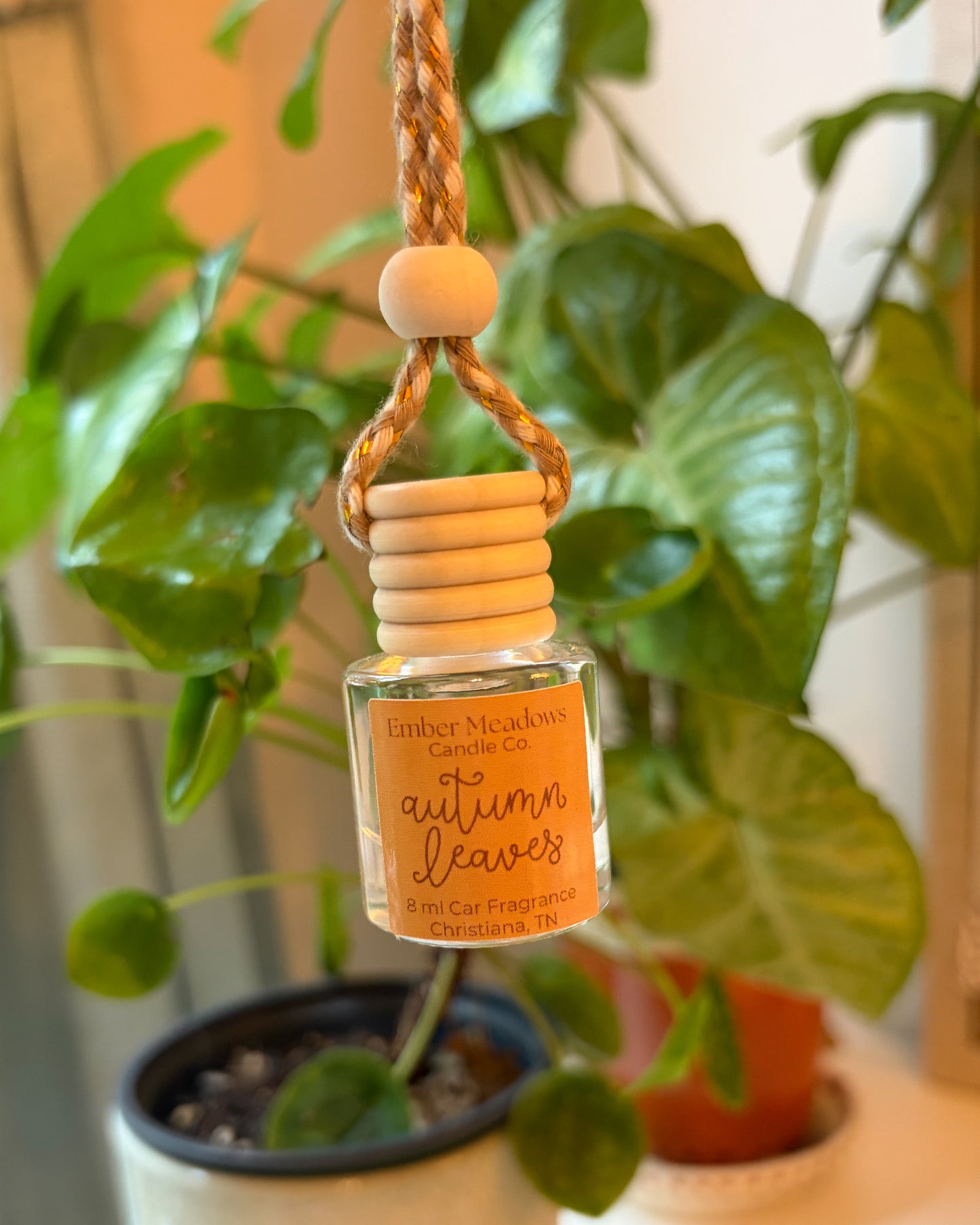 Autumn Leaves 8ml Car Diffuser